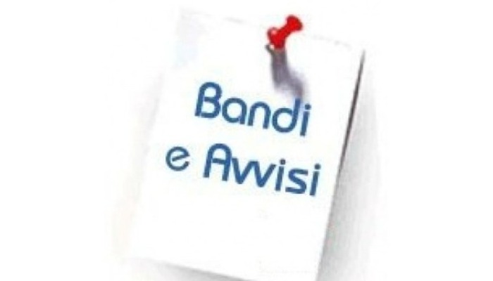AVVISO PUBBLICO PER LA SELEZIONE DEL RESPONSABILE DELLA PROTEZIONE DATI (D.P.O. – DATA PROTECTION OFFICER) AI SENSI DEL REGOLAMENTO EUROPEO UE/2016/679